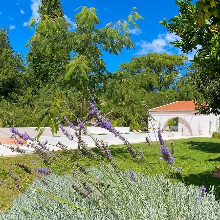 Casa Do Rio Διαμέρισμα *