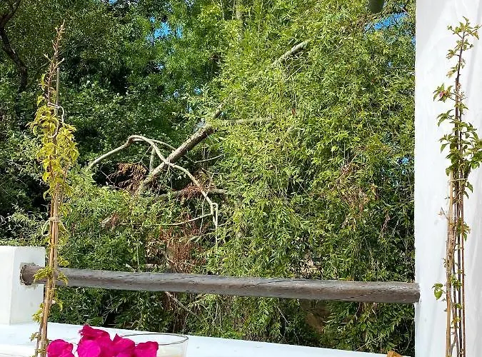 Casa Do Rio Διαμέρισμα *